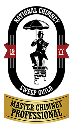Master Chimney Professional Logo